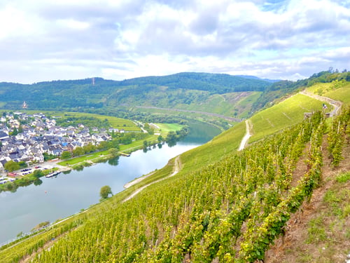 Preview: Green nature and river