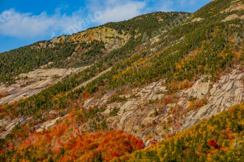 Preview: Fall colors in Crawford Notch