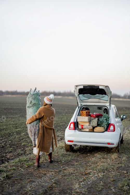 Preview: Woman going with Christmas tree near car on nature