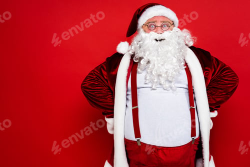 Preview: Funny Santa Claus portrait