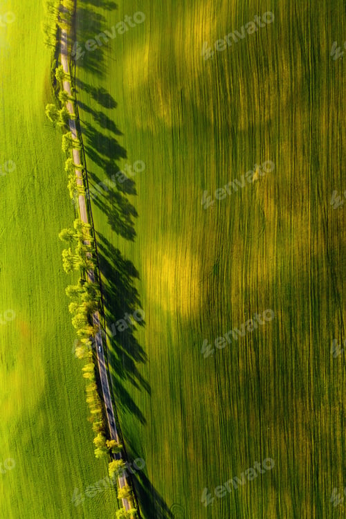 Preview: A bird's-eye view of a green field and a road in Europe.Nature Of Belarus.Own green field at