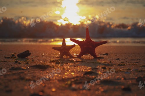 Preview: Sunset