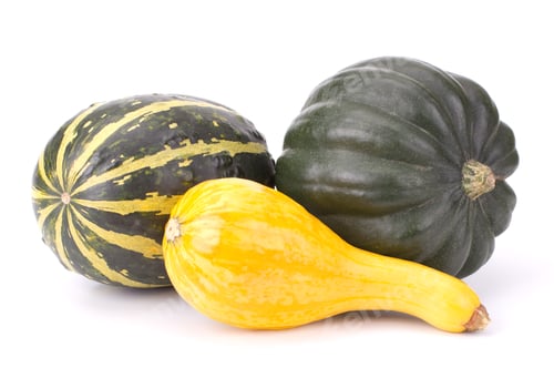 Preview: Decorative colorful pumpkin collection isolated on white background