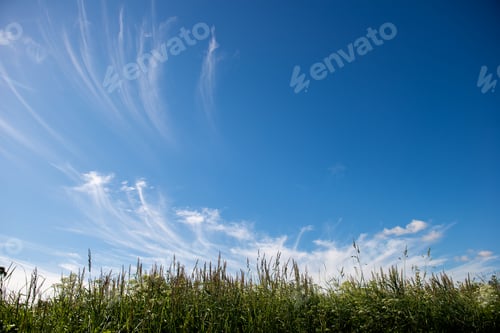 Preview: Cirrus Clouds on Blue Sky