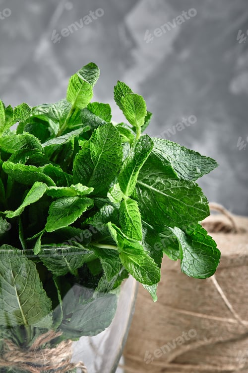 Preview: A bunch of fresh mint in a vase of water on a gray background, close-up. The concept of fresh food