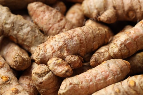 Preview: Many fresh turmeric roots as background, closeup