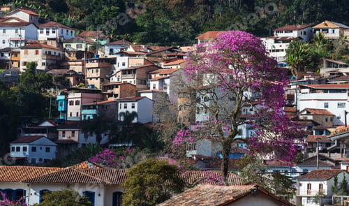 Preview: Ouro Preto