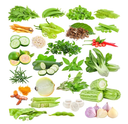 Preview: set of vegetable