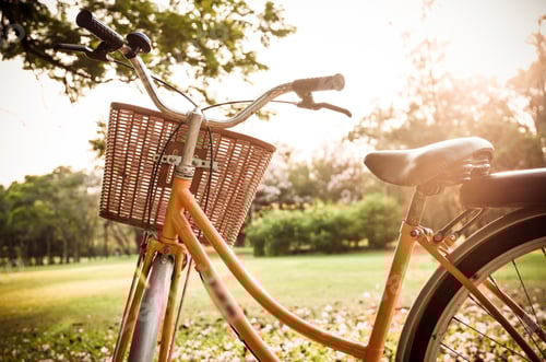 Preview: Classic Bicycle at sunset in the park or deep forest