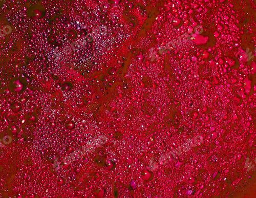 Preview: Closeup shot of bloody bubbles or a puddle of blood red liquid can be used as background