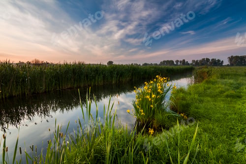 Preview: Beautiful evening landscape with the river and flowers.