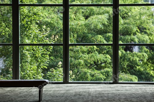 Preview: Business center lobby window and tree.