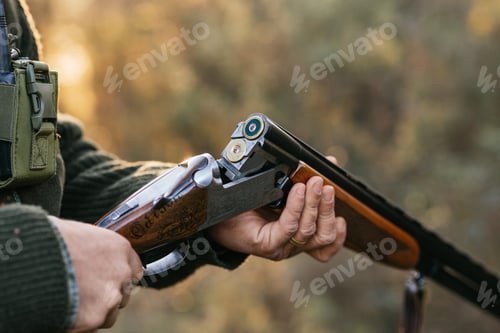 Preview: Man loading cartridges in gun for hunting in forest