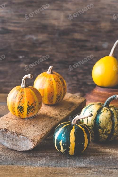 Preview: Variety of ornamental pumpkins