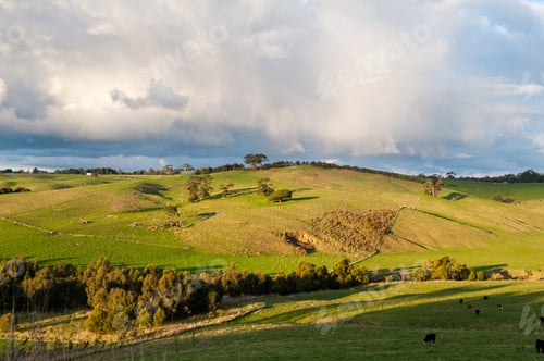 Preview: Farming Land