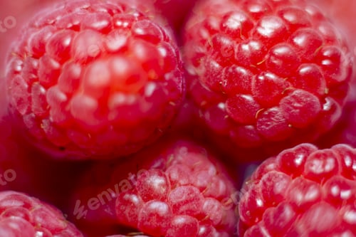 Preview: Close-up to several raspberries on white background. Healthy food, natural antioxidants.