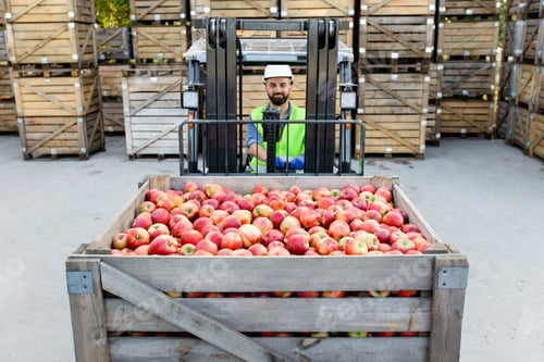 Preview: Fruit business, organic juice production and work at warehouse. Great harvest of ripe apples