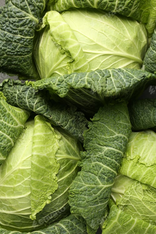 Preview: Fresh ripe Savoy cabbages as background, closeup