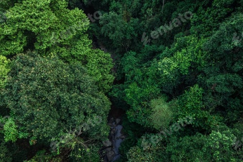Preview: road and green trees from above in the summer forest