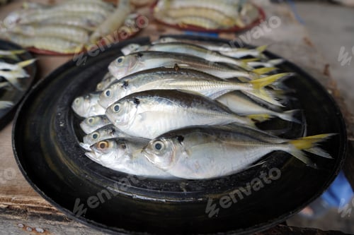 Preview: Selective focus shot of raw mediterranean horse mackerel at a street market