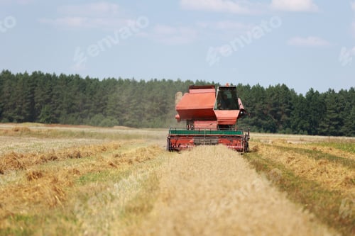Preview: combine harvester driving through field collecting grain in summer. Harvesting of early grains and