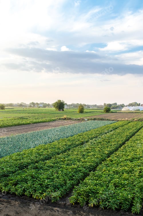Preview: Farmland landscape