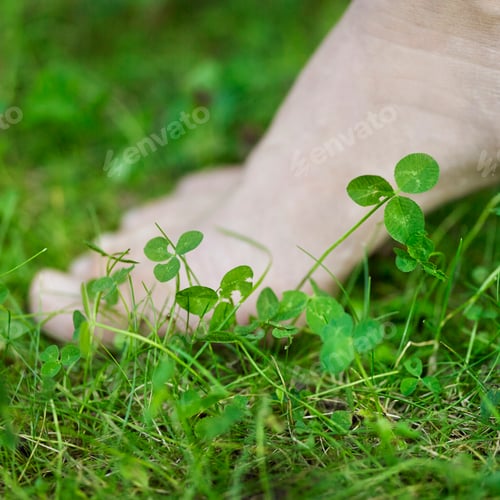Preview: Bare foot in grass