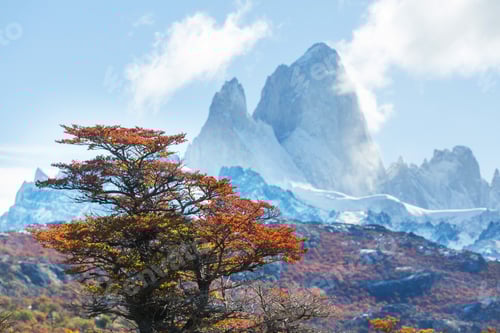 Preview: Autumn on Fitz Roy