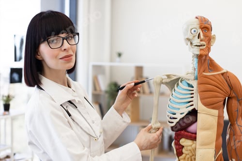 Preview: Female doctor explaining anatomical model in medical office