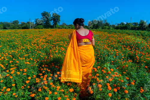 Preview: Indian woman collect marigold flower in beautiful garden.