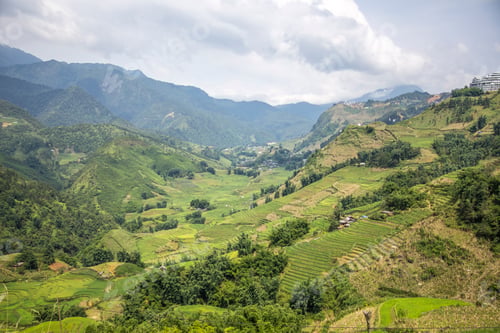 Preview: View from the top of the mountains of Sa Pa and its rice paddies. Vietnam