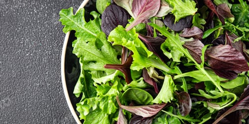 Preview: Healthy salad leaves mix salad juicy snack micro greens, arugula, lettuce, oak leaf, green leaf