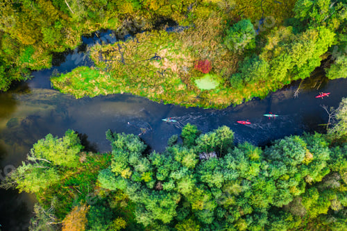 Preview: Kayaking on river near autumn forest, view from above