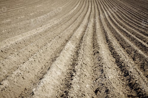 Preview: Plowed Field background