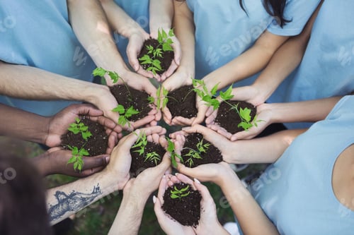 Preview: Group of volunteer with sprout for growing