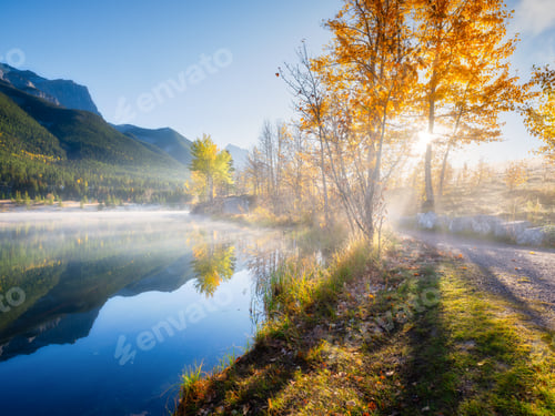 Preview: Landscape during sunrise. Autumn trees on the river bank. Sunlight through the trees.