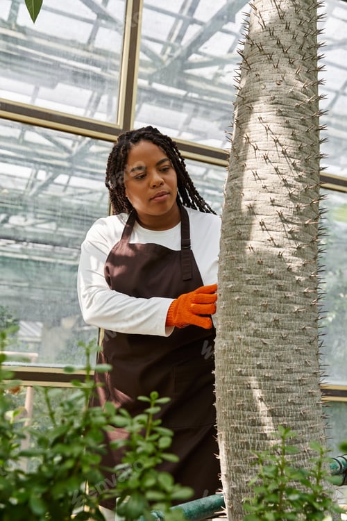 Preview: Gardener tending to exotic plants in greenhouse with bright natural light