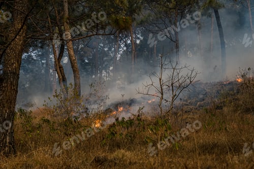 Preview: Drone view of Fires in Hattiban Forest in Kathmandu, Nepal.