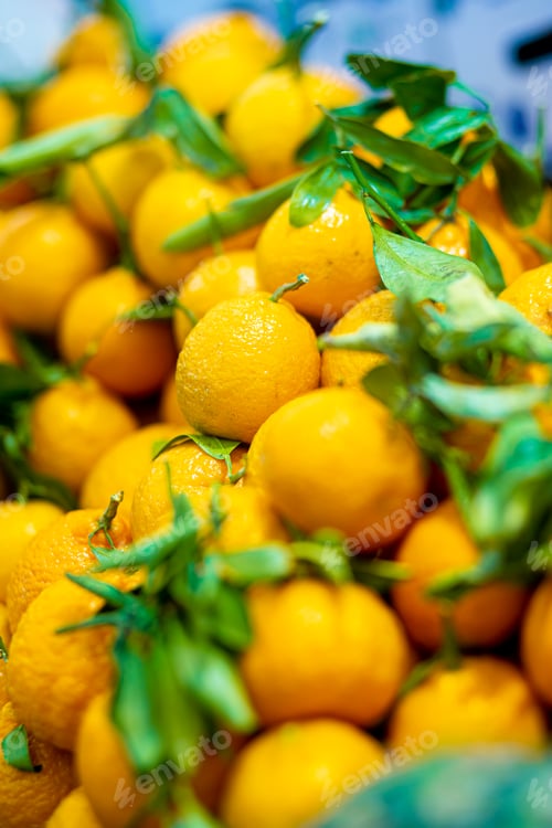 Preview: Tangerines with Leaves in Bright Sunlight
