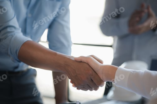 Preview: Team engineers and architects shake hands with the condo project owners after the meeting to present
