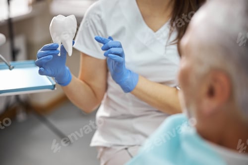 Preview: Dental specialist showing a tooth replica to a patient