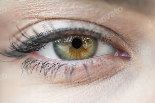 Preview: Eye close up