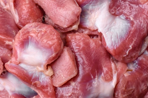 Preview: Raw chicken or turkey gizzards with salt, spices and herbs