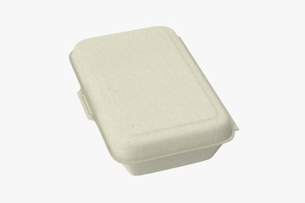 Preview: Closed Takeout Food Container - Sustainable Packaging