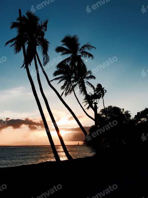 Preview: Maui Sunset with palm trees, sailboat and even the moon. Paradise.