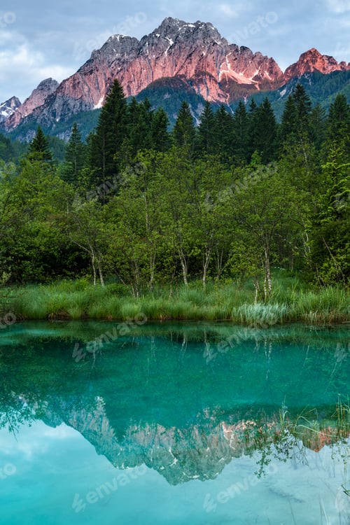 Preview: Peaceful Morning Sunrise at Zelenci Natural Reserve in Slovenia