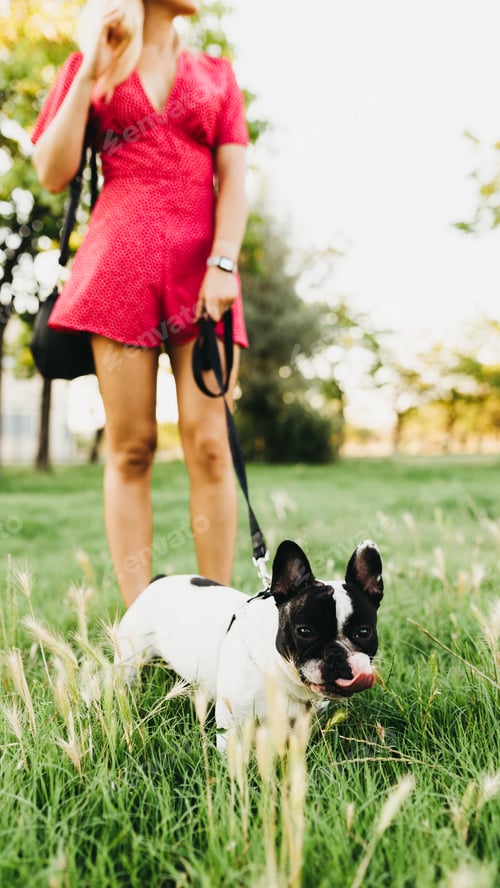 Preview: Crop woman walking with little dog in park
