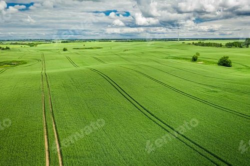 Preview: Beautiful aerial view of green field in summer