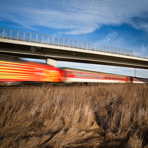 Preview: Fast train passing under a bridge on a lovely summer day (motion