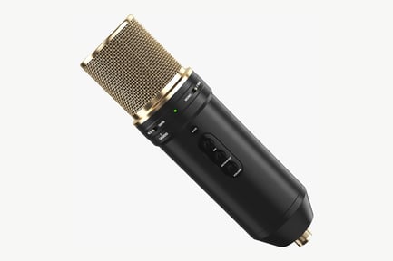 Preview: Professional Studio Condenser Microphone - Gold Mesh